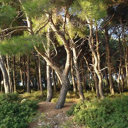 Holiday Home In Pula/Istrien 11083 Pula