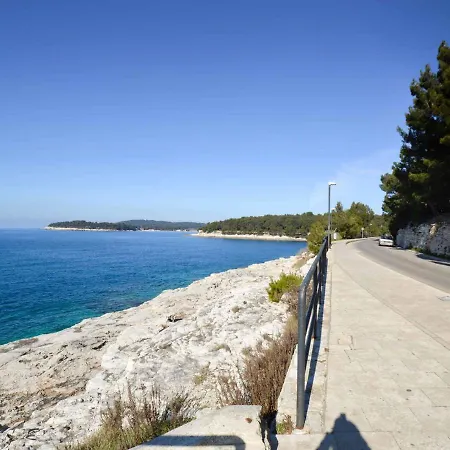 Holiday Home In Pula/Istrien 11083 *